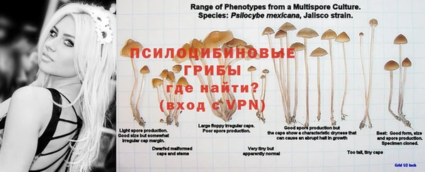 каннабис Белоозёрский